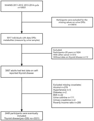 Association between urinary organophosphate ester metabolite exposure and thyroid disease risk among US adults: National Health and Nutrition Examination Survey 2011-2014